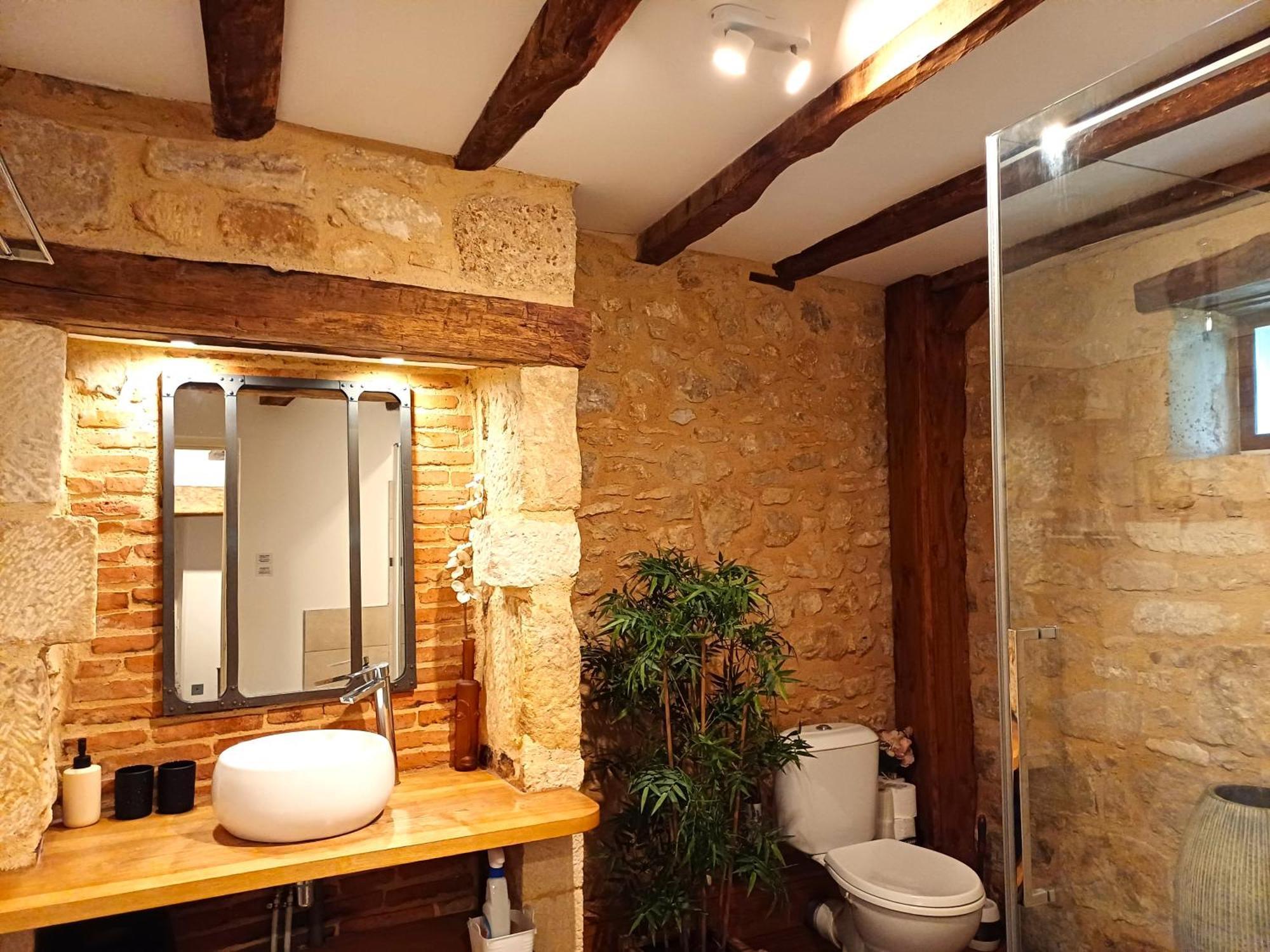 Au Pied Du Chateau - 5 A 11 Personnes - Baignade-Canoe-Piste Cyclable A 100 M Castelnaud-la-Chapelle Exterior foto