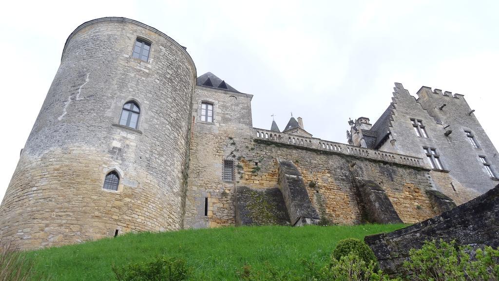 Au Pied Du Chateau - 5 A 11 Personnes - Baignade-Canoe-Piste Cyclable A 100 M Castelnaud-la-Chapelle Zimmer foto