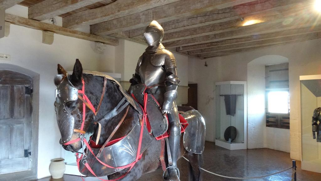 Au Pied Du Chateau - 5 A 11 Personnes - Baignade-Canoe-Piste Cyclable A 100 M Castelnaud-la-Chapelle Exterior foto