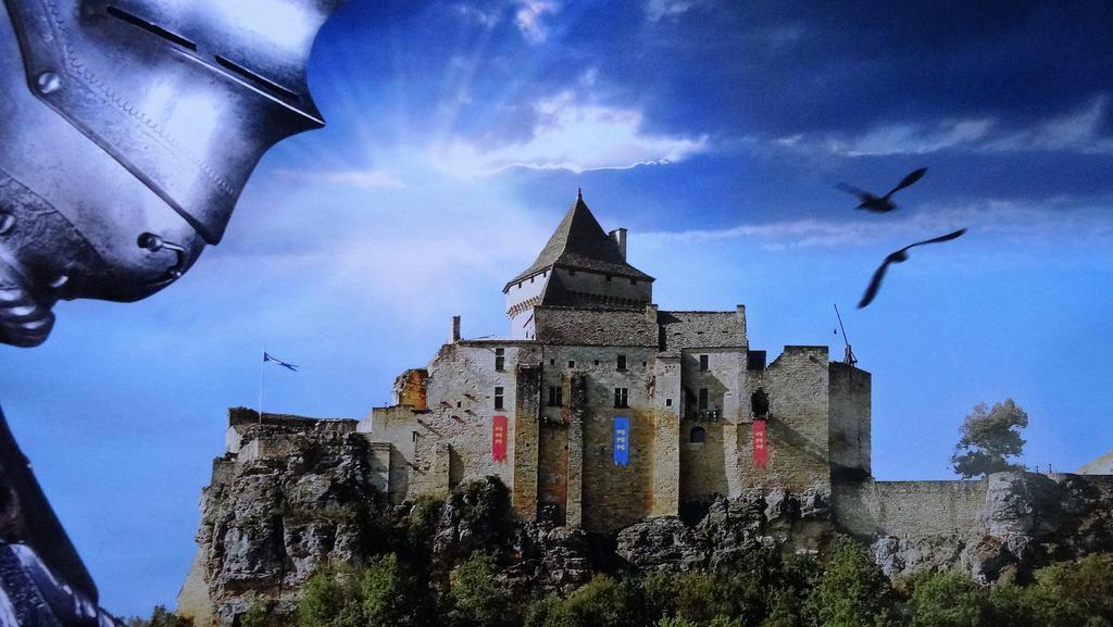 Au Pied Du Chateau - 5 A 11 Personnes - Baignade-Canoe-Piste Cyclable A 100 M Castelnaud-la-Chapelle Exterior foto