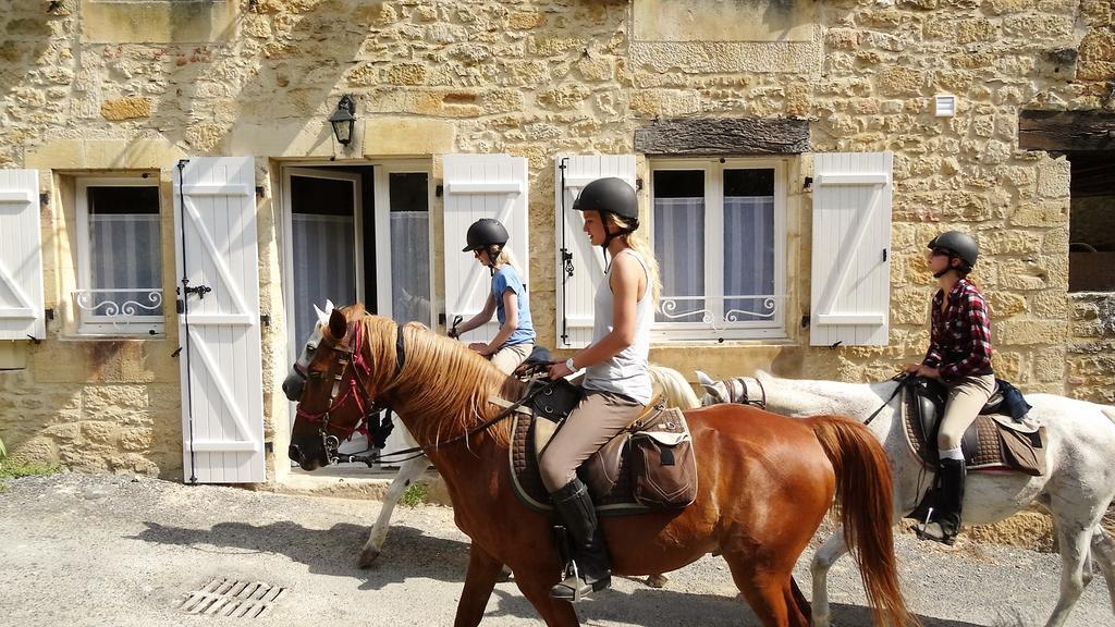 Au Pied Du Chateau - 5 A 11 Personnes - Baignade-Canoe-Piste Cyclable A 100 M Castelnaud-la-Chapelle Exterior foto